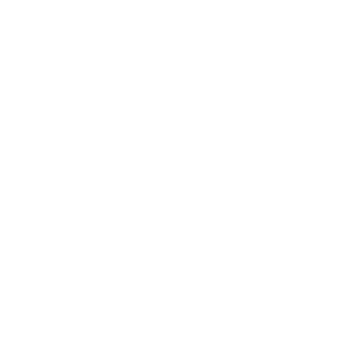 Data Stream
